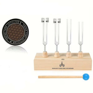 Набор камертонов 128 Гц, 136,1 Гц, 256 Гц и 384 Гц с резонаторной подставкой